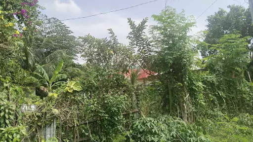 Open photo 19 of 21 — 2 Lots for Sale in Lacap Subd., Gensan
