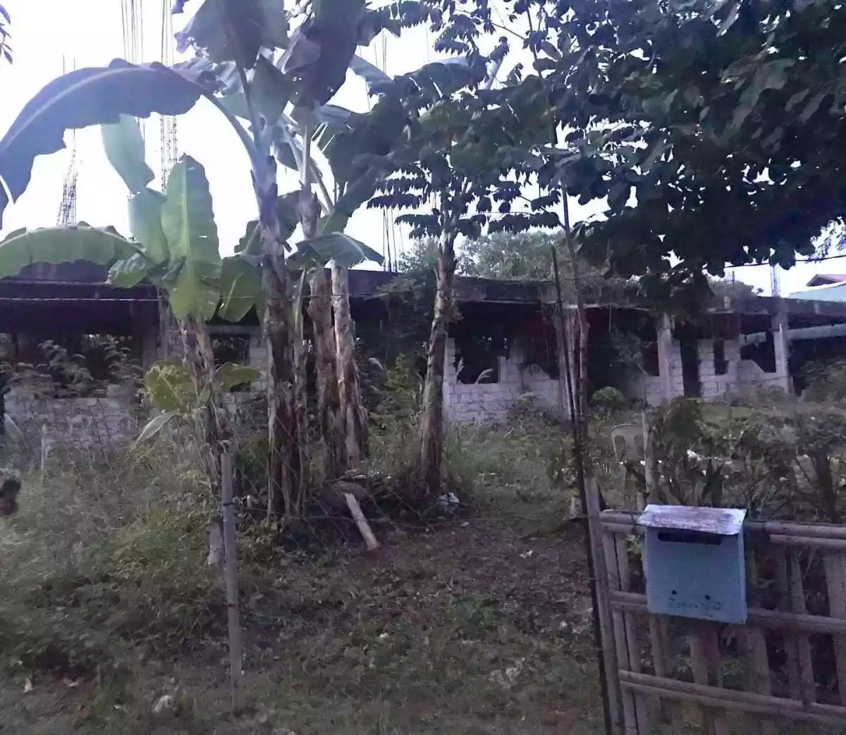 Prime Lot in Alona Panglao - photo 2