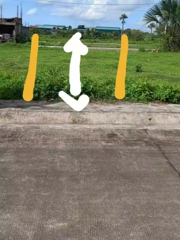 Palm Spring Residential Estates — Residential Lot in Quezon, Philippines — Photo 5