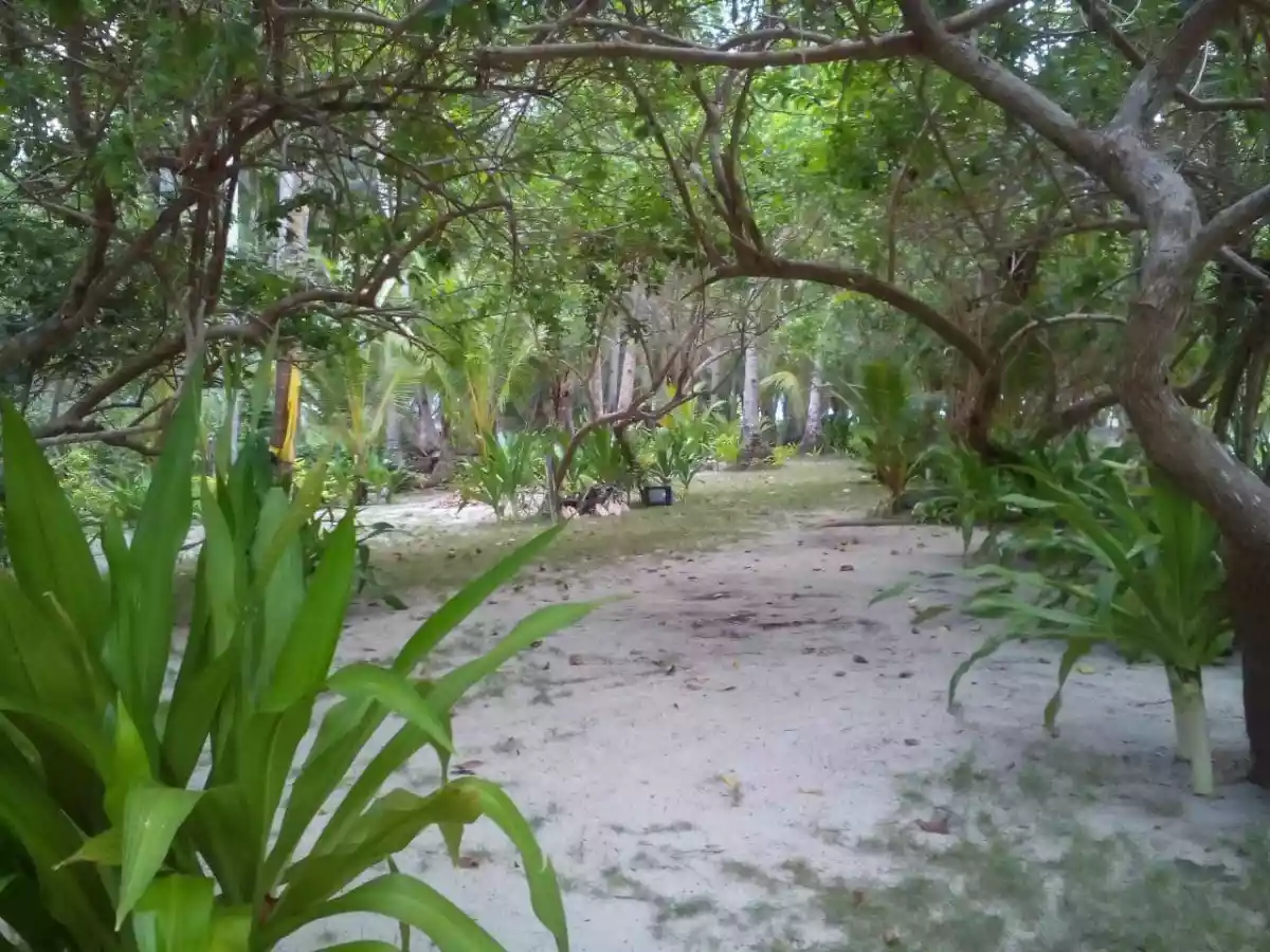 BEACH LOT FOR SALE IN DINAGAT — Island in cagdianao — Photo 3