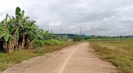 Lot For Sale - photo 3