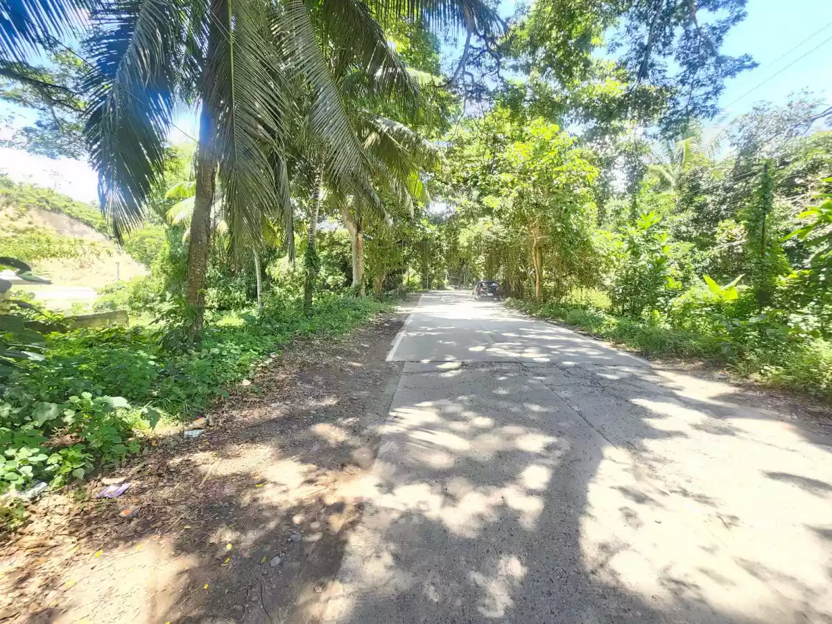 HOUSE and LOT — House and Lot in San Jose, Negros Oriental, Philippines — Photo 5