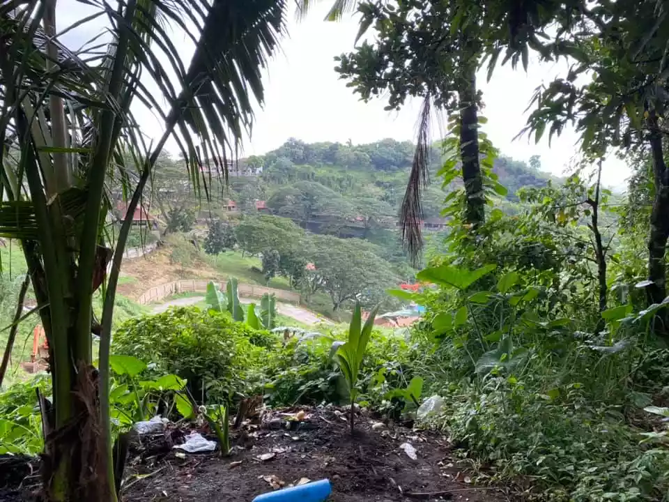 Lot for Hot Spring Resort — Agricultural Lot in Calamba, Laguna, Philippines — Photo 3