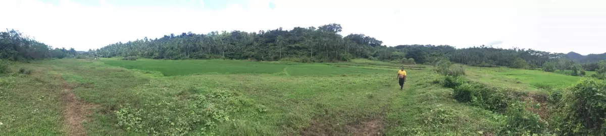 20 Hectares Lot FOR SALE - photo 3