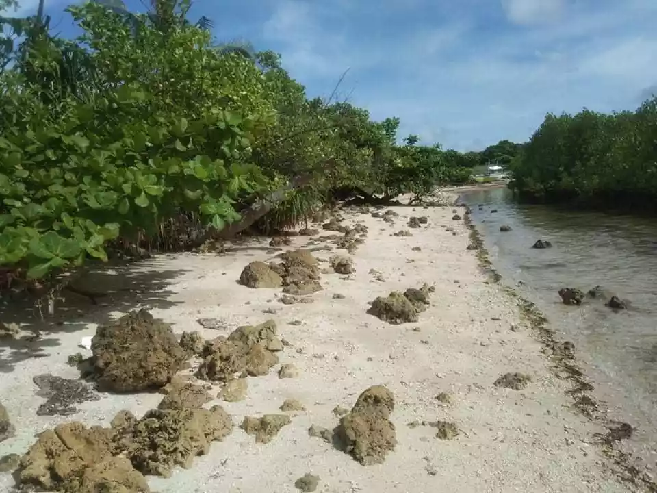 MALAPASCUA BEACH LOT FOR SALE - photo 4