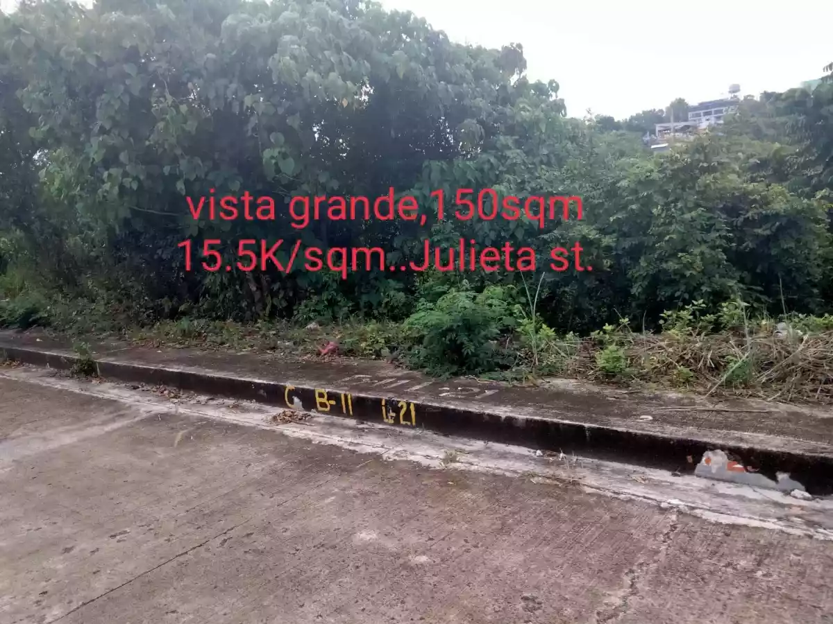 LOT for Sale in Vista Grande — Residential Lot in Rio de Janeiro Street, Talisay, Cebu — Photo 4