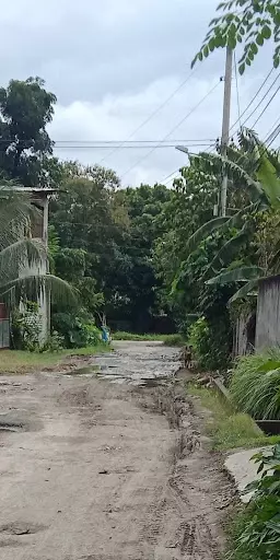 Lpt only — Commercial Lot in 27 Mangosteen St, Buhangin, Davao City — Photo 2
