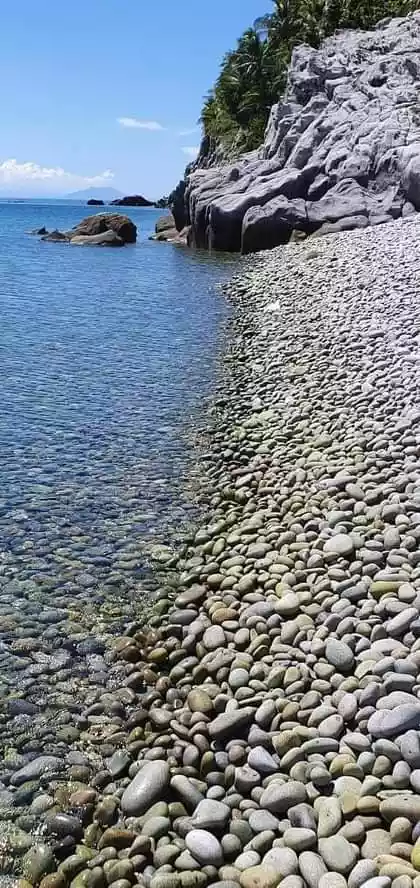 HOTEL FOR SALE IN SURIGAO CITY - photo 5