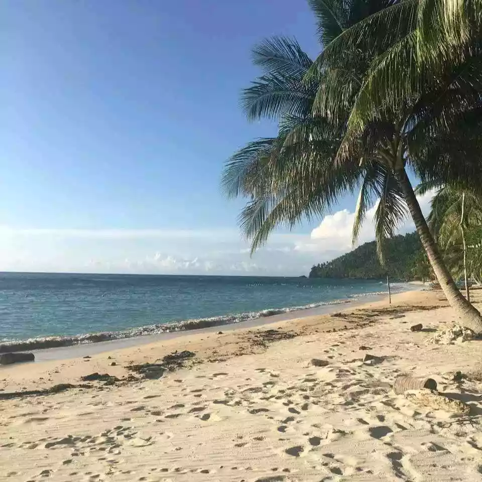 Prestine Beach Lot For Sale with shoreline - photo 3