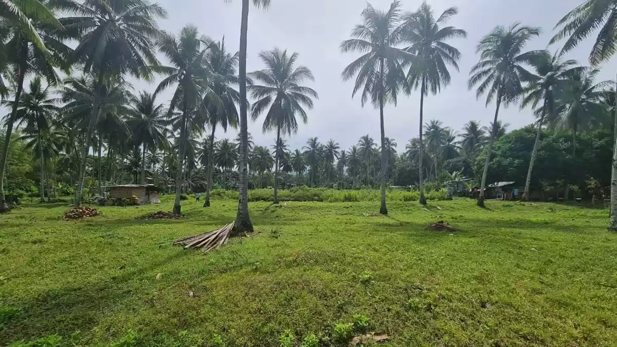 Beach Lot for sale — Beach Lot in Malapatan, Sarangani, Philippines — Photo 4