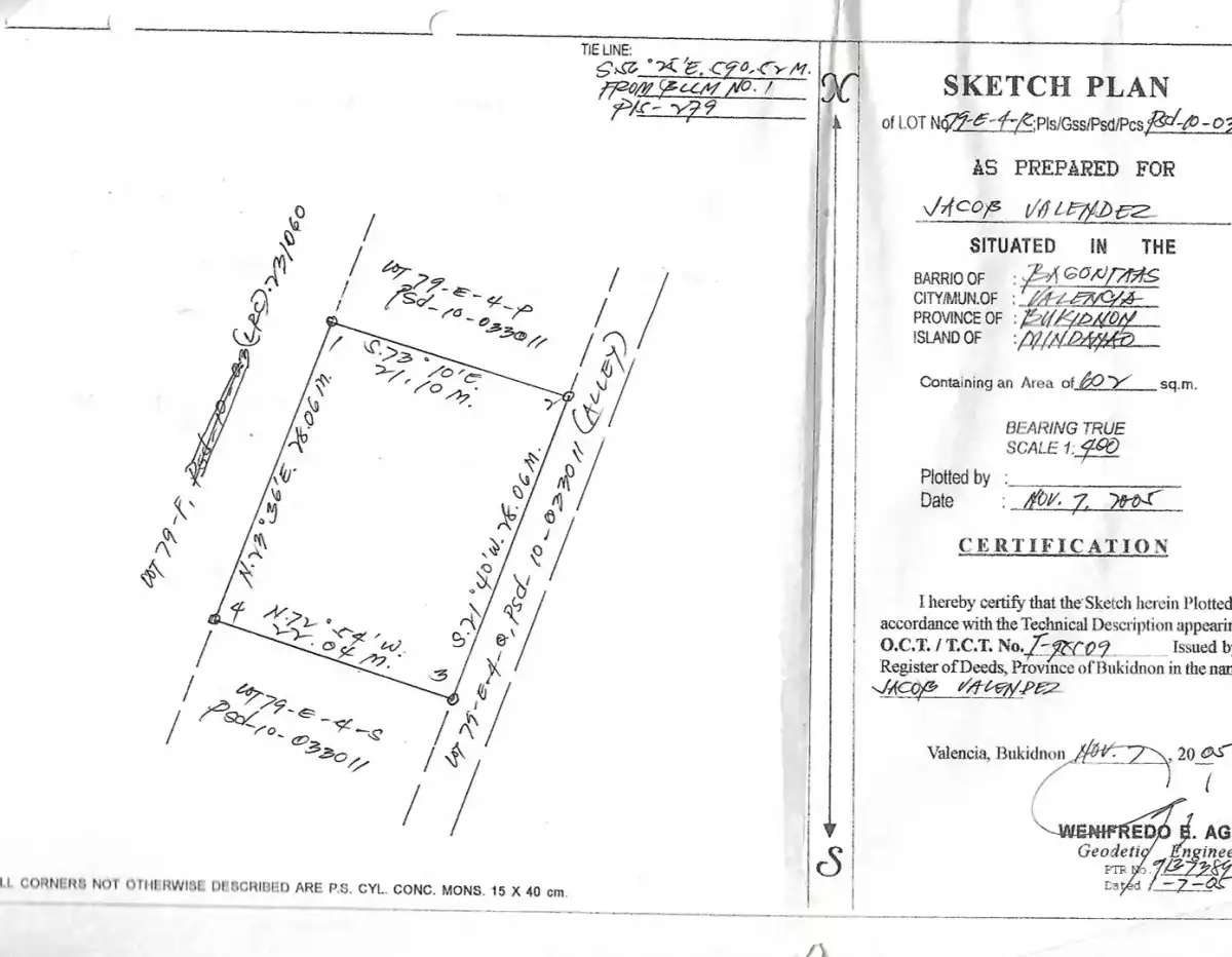 LOT for Sale in Bagontaas, Valencia City — Agricultural Lot in Valencia City, Bukidnon, Philippines — Photo 3