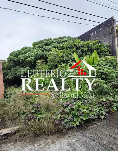 Residential Lot for Sale in Naga, Camarines Sur