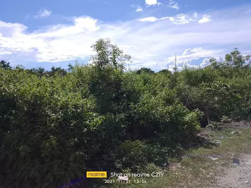 COMMERCIAL LOT FOR SALE — Commercial Lot in Lapu-Lapu City, Cebu, Philippines — Photo 3