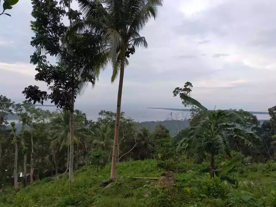 Sea Vew and Mountain View 4,507sqm title lot in Loon Bohol 800 per sqm - photo 3