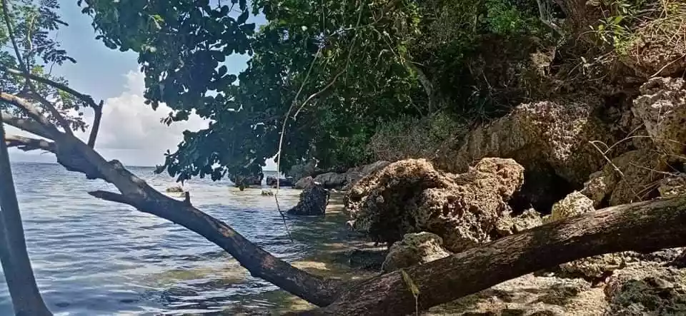 BEACH LOT FOR SALE - photo 3