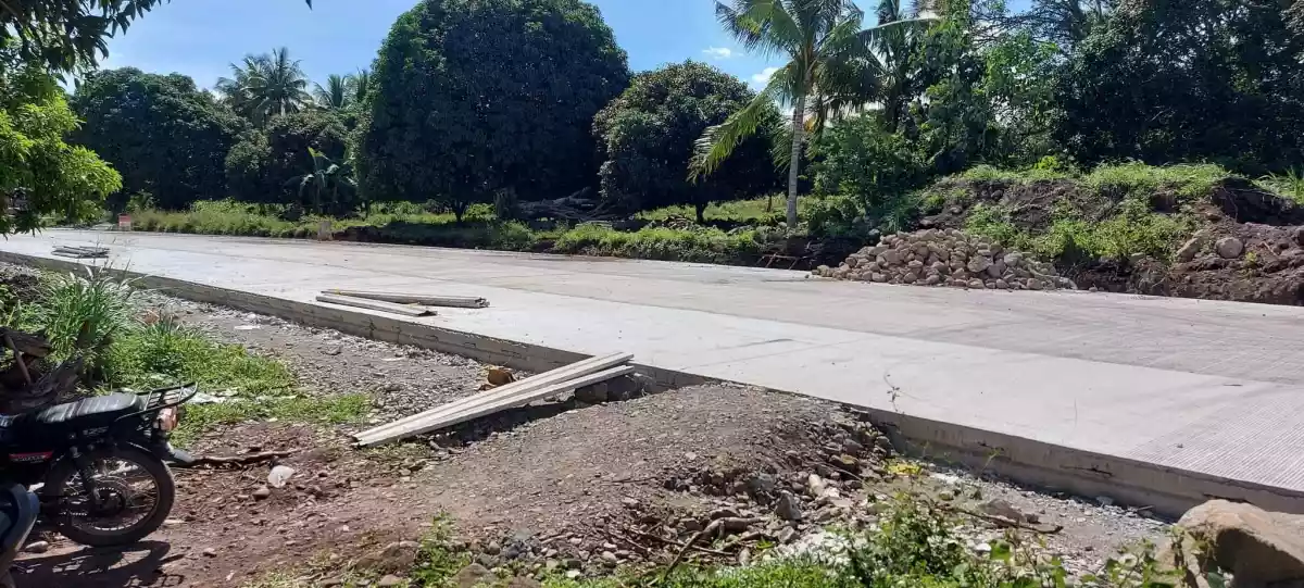 Lot for Sale in San Miguel Bacong