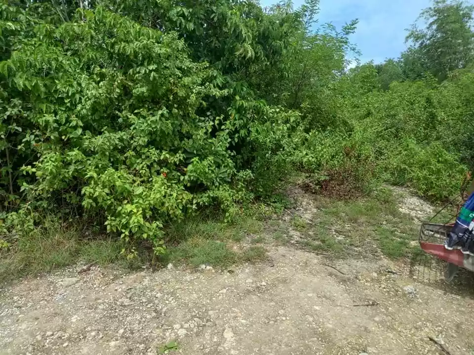 Medellin beach lot — Beach Lot in Medellin, Cebu, Philippines — Photo 3