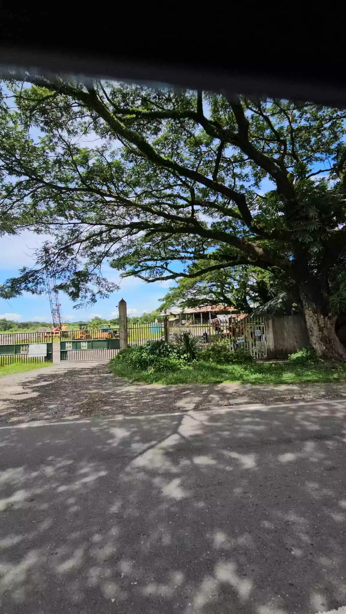 A GOOD DEAL LOT BESIDE CASA RUFINA SOUTH IS FOR SALE!!! — Industrial Lot in UYGEPA CORPORATION Depot, Negros South Road, Bago — Photo 7