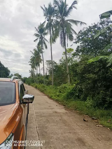 19,982 sqm land in Alabel, Sarangani — Agricultural Lot in Sarangani, Philippines — Photo 4