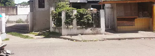 PRIME LOT FOR SALE JUST WITHIN THE CITY — Commercial Lot in Dumaguete, Negros Oriental, Philippines — Photo 3