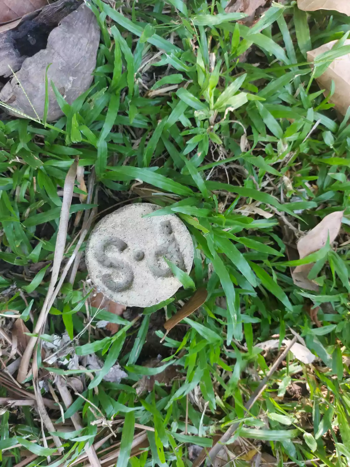 AFFORDABLE LOT FOR SALE IN SIBULAN - photo 4