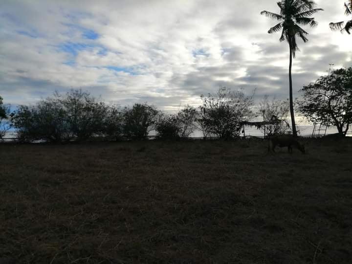 BEACH LOT IN SIQUIJOR — Beach Lot in Siquijor, Philippines — Photo 7