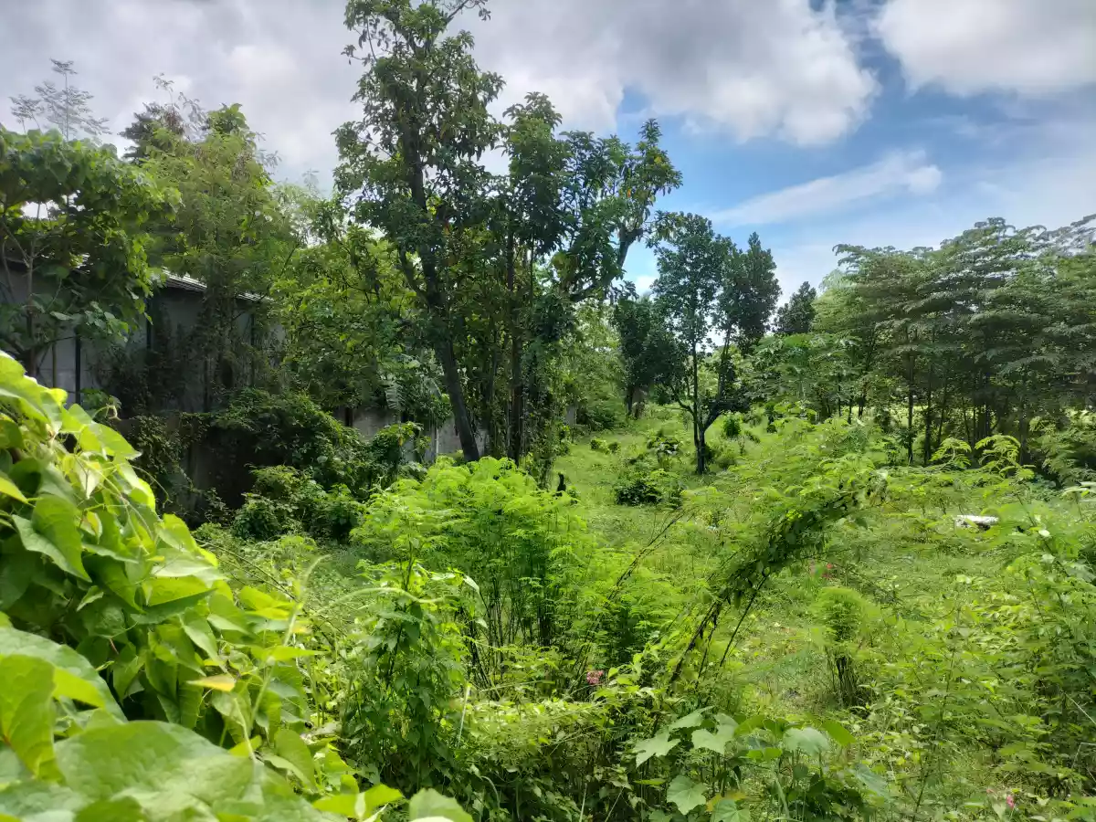 Residential lot - photo 5