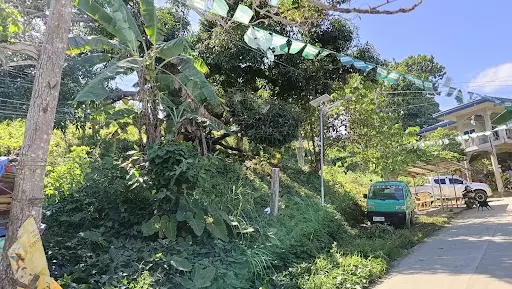 Agricultural lot for sale — Agricultural Lot in Cebu City, Cebu, Philippines — Photo 4