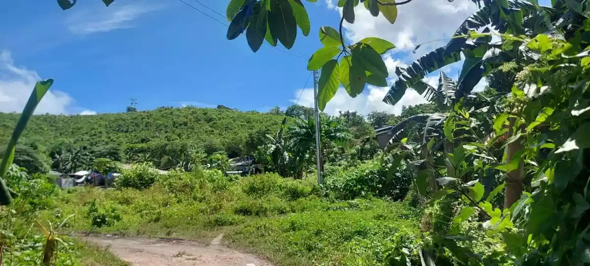 Lot for Sale - photo 5
