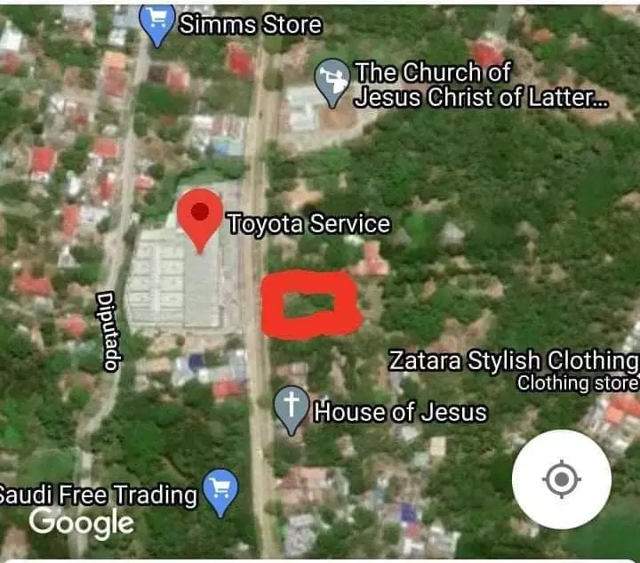 Commercial Lot For Sale - Along National Superhighway — Commercial Lot in Negros Oriental, Philippines — Photo 6