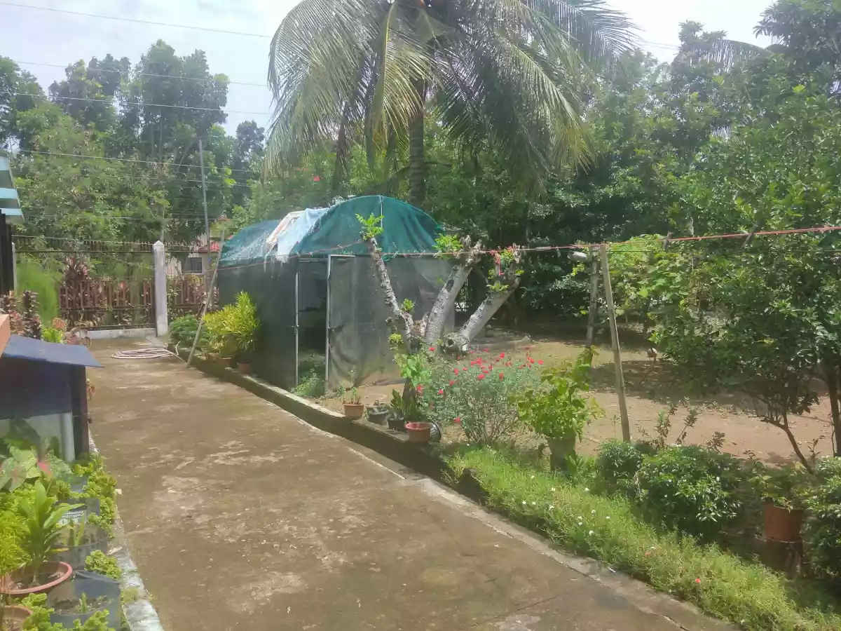 2016 Fully Furnished House with garage and garden — Retirement House in Kabankalan, Negros Occidental, Philippines — Photo 2