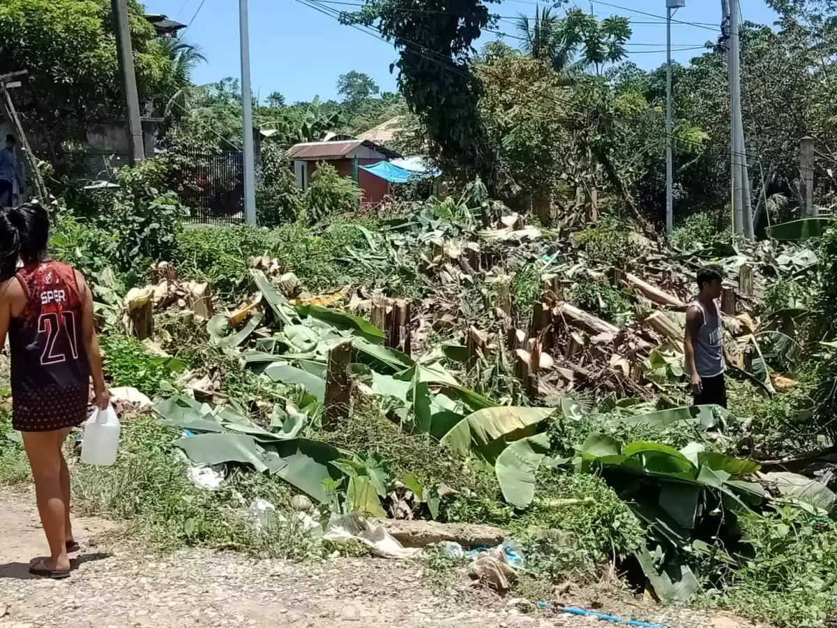 Lot for Sale in Toledo City Cebu - photo 3