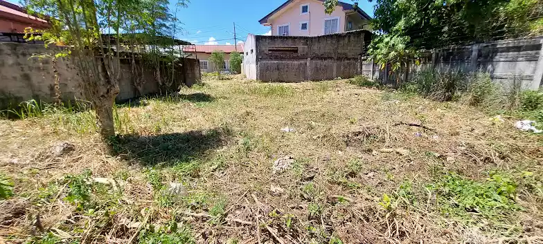 Lot for sale inside subdivision in basak Lapu-Lapu City Cebu