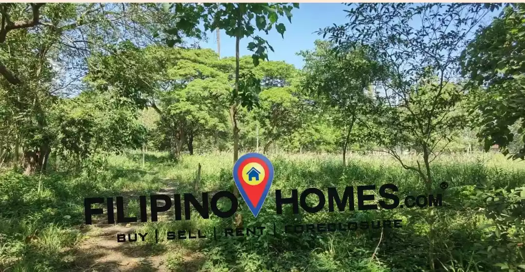 FOR SALE! 66,761 SQM Lot Along  Apopong National Highway - photo 4
