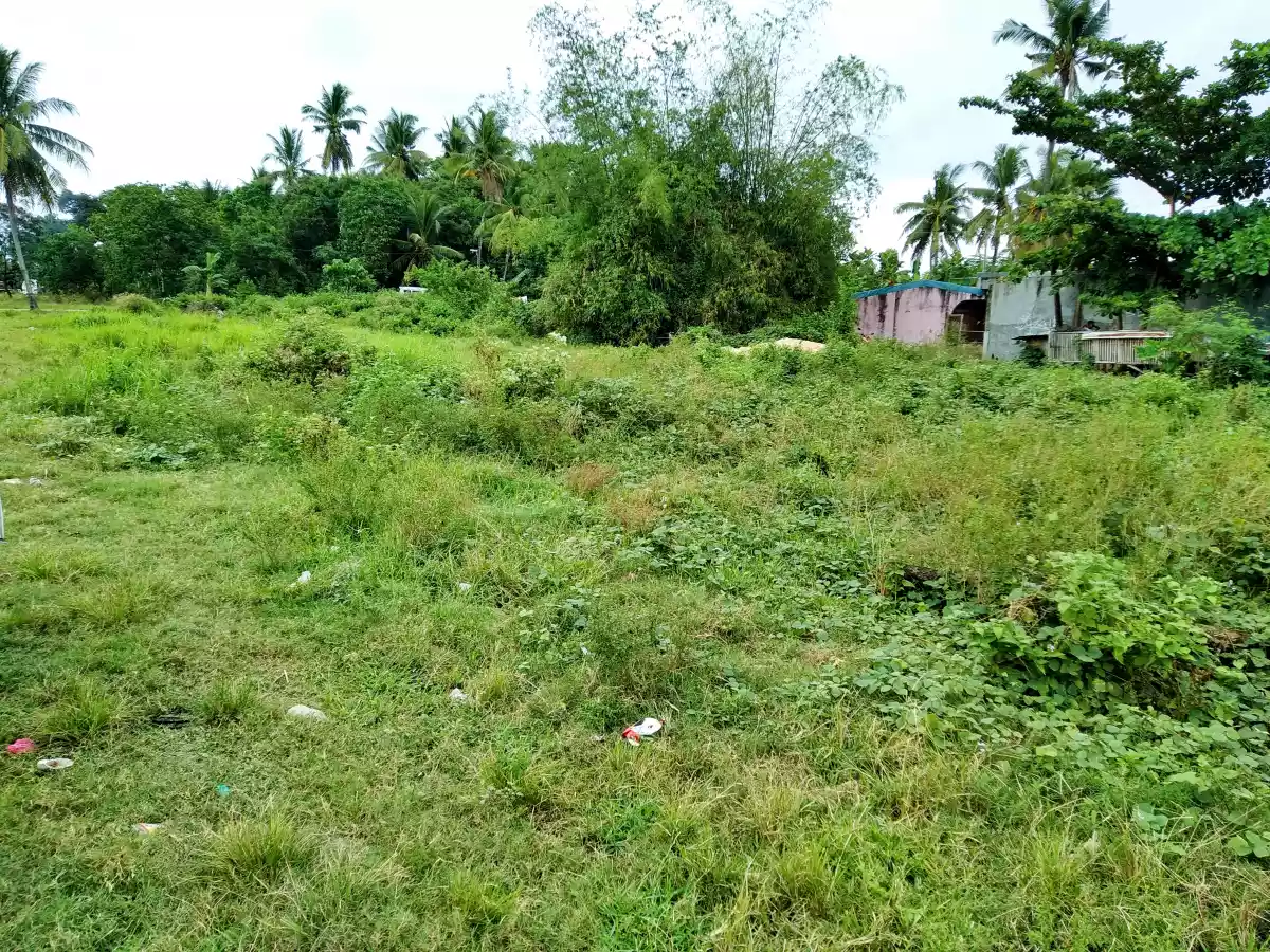 Affordable Industrial lot - photo 3