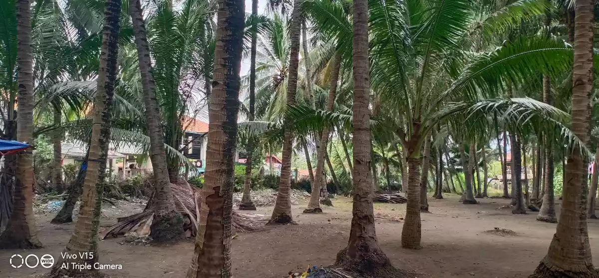 COMMERCIAL/BEACH LOT FOR SALE IN DANAO CITY - photo 7