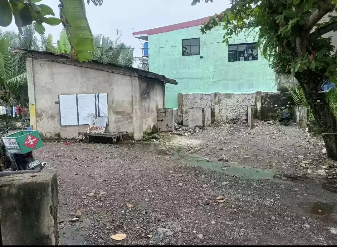 Residential Lots for Sale. 299 sqm - photo 2