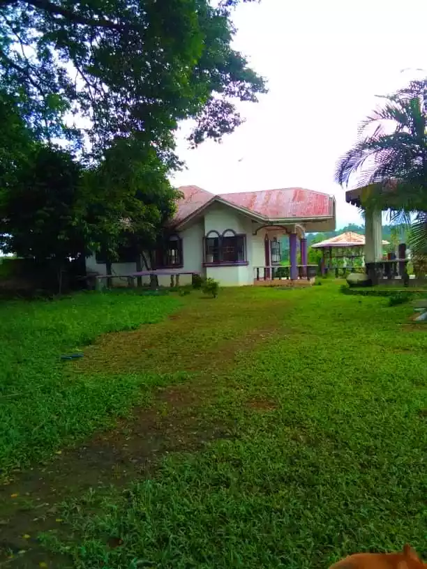 Lot for sale with a house - photo 2