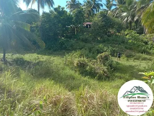 Very rush agri lot — Agricultural Lot in Cebu, Philippines — Photo 4