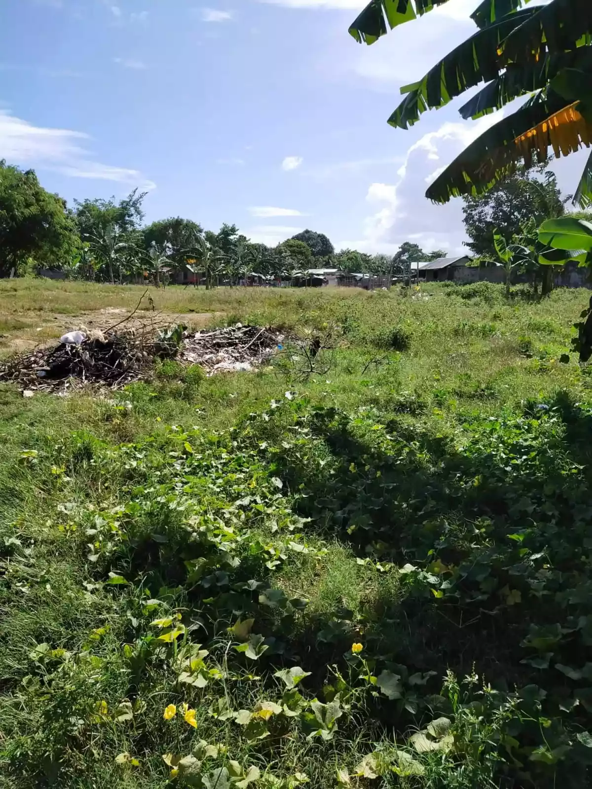 Affordable lot for sale - photo 4