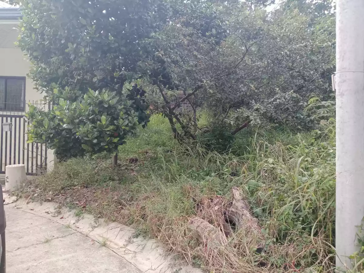 RUSH SALE:RESIDENTIAL LOT in Fresno Parkview Subdivision! — Residential Lot in Brgy, Cagayan de Oro, Misamis Oriental — Photo 6