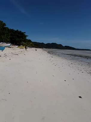 Beach resort for sale — Beach Lot in Bohol, Philippines — Photo 5