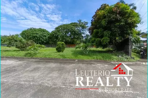 Residential Lot for Sale in Naga, Camarines Sur — Residential Lot in Phelan Drive, Pacol, Naga — Photo 3