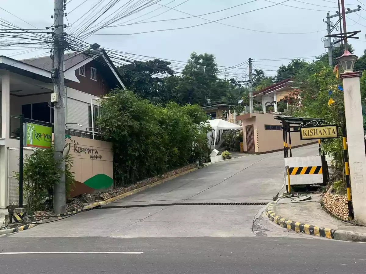 Lot For Sale in Kishanta Talisay - photo 6
