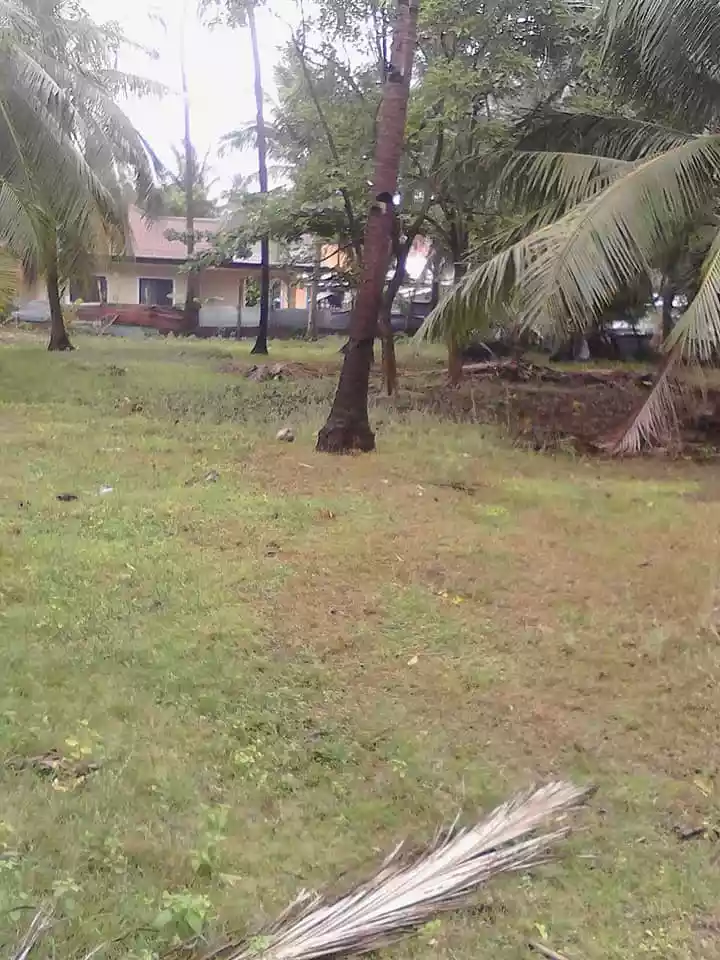 LOT FOR LEASE in Brgy.Talisay, Santa Fe, Bantayan Island, Cebu — Beach Lot in Philippines — Photo 3