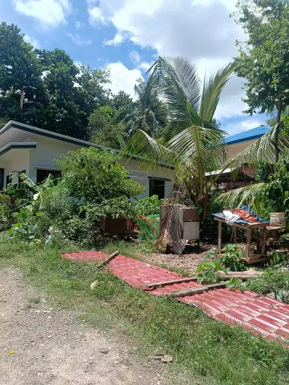 Residential lot in Linao, Talisay City — Residential Lot in Talisay, Cebu, Philippines — Photo 3