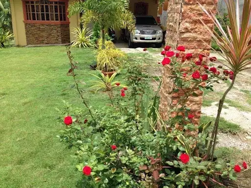HOUSE AND LOT FOR SALE IN MAASIN LEYTE — House and Lot in Southern Leyte, Philippines — Photo 4