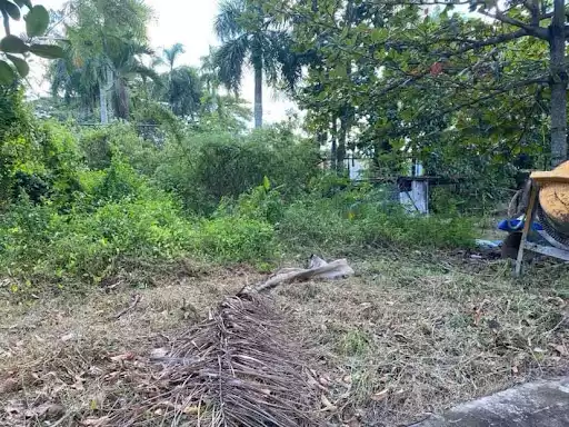 164sqm residential lot in El Monteverde in Lamac Consolacion — Residential Lot in New Orleans Street, Lamac, Consolacion — Photo 3
