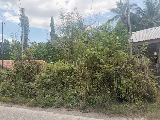 Rush lots for sale near UST — Residential Lot in General Santos City, South Cotabato, Philippines — Photo 6