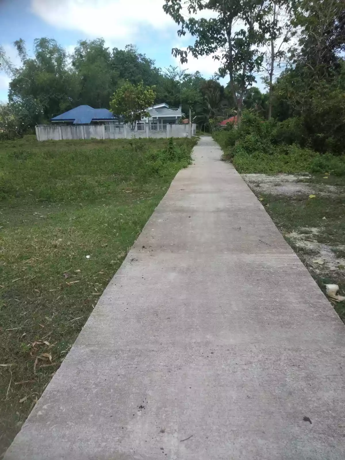 TWO HOUSES FOR RENT in Bantayan  - photo 3